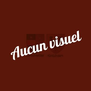 Aucun visuel